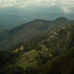 What Makes a House a Home?